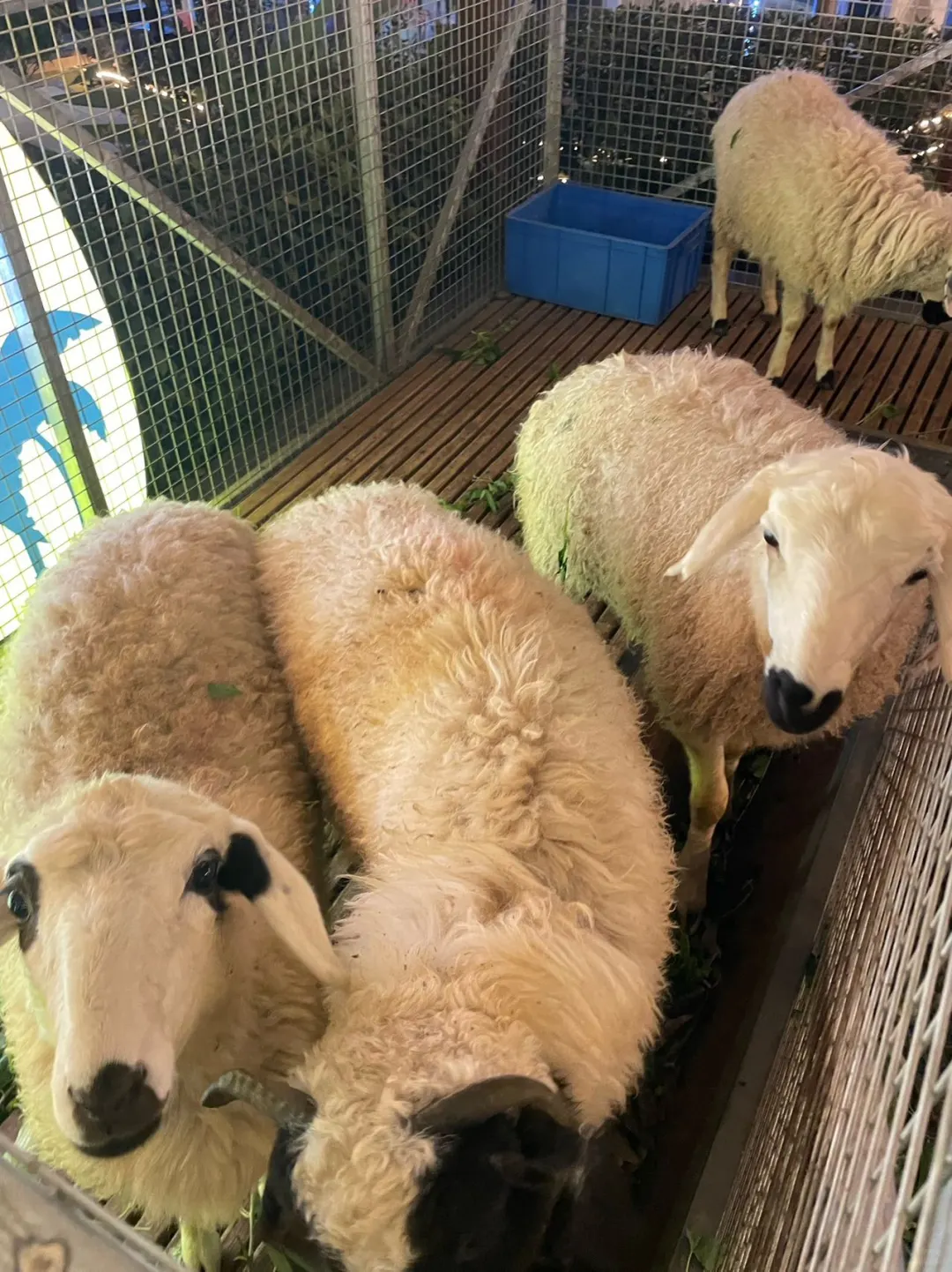 �人����ֱ�����Ͻ�����ҿ�ȫ���ůůθ��