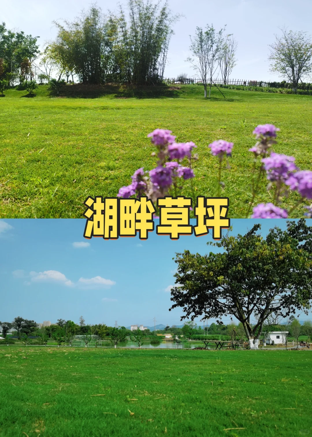 ��ݮ��������ժ��ݮ��