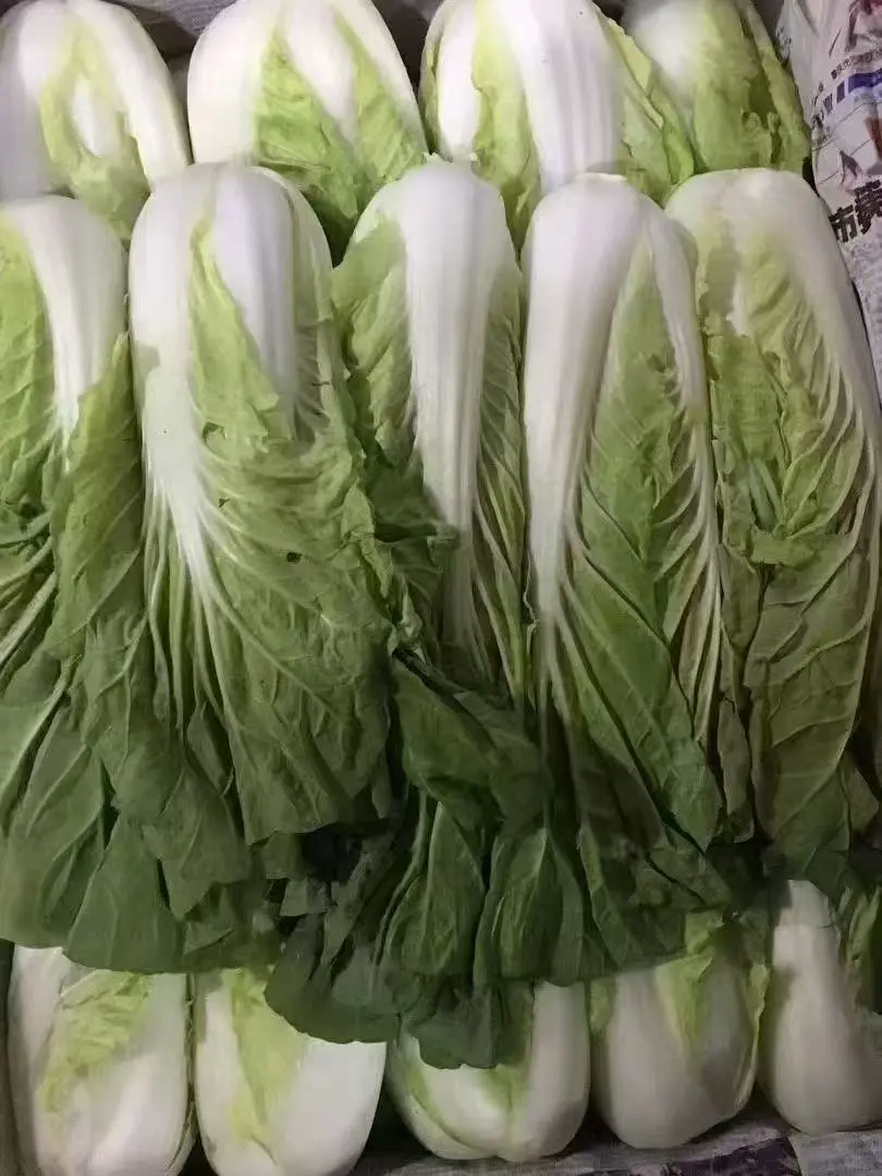 2025��12��10�������ũ�߲������۸�