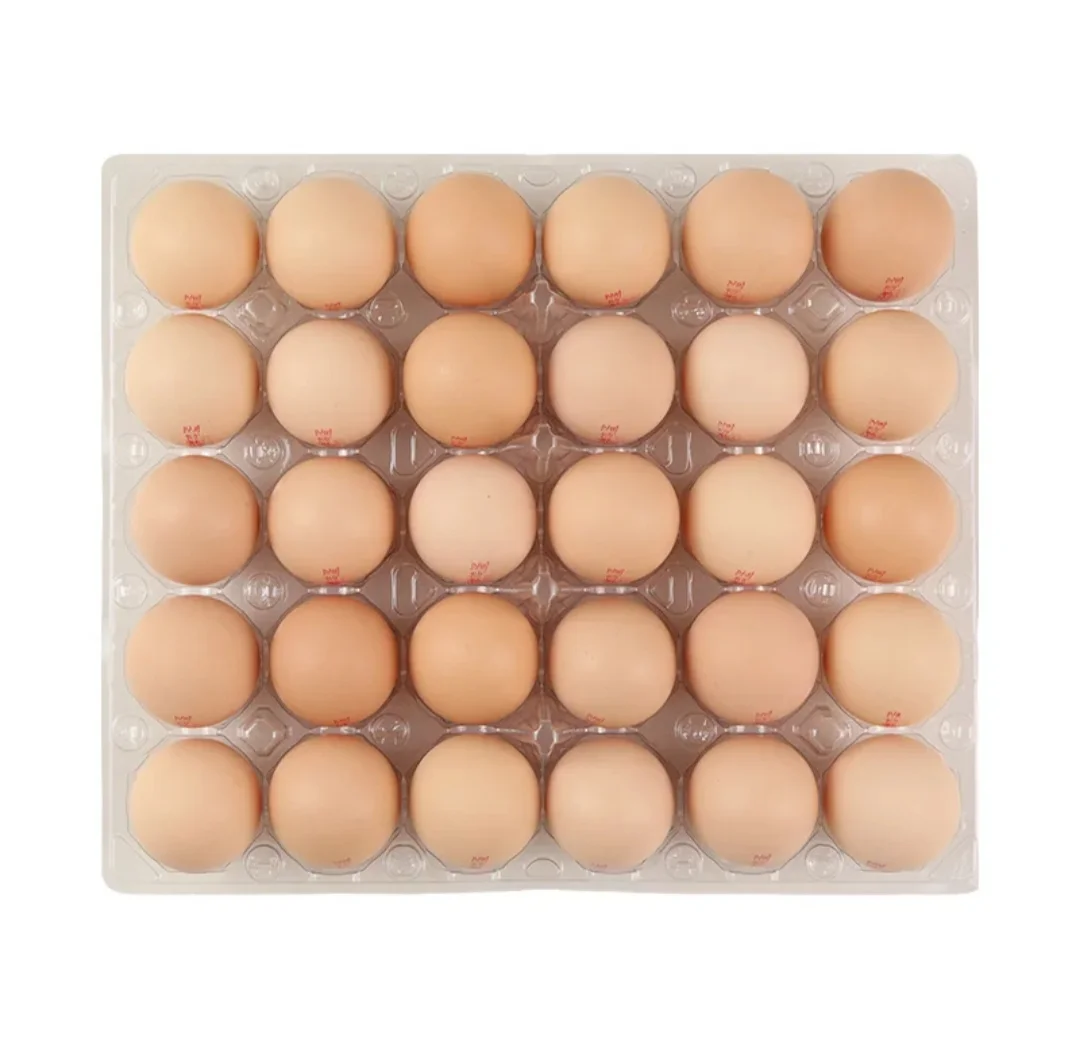 ������ļ������׳�ɶ���ˣ���