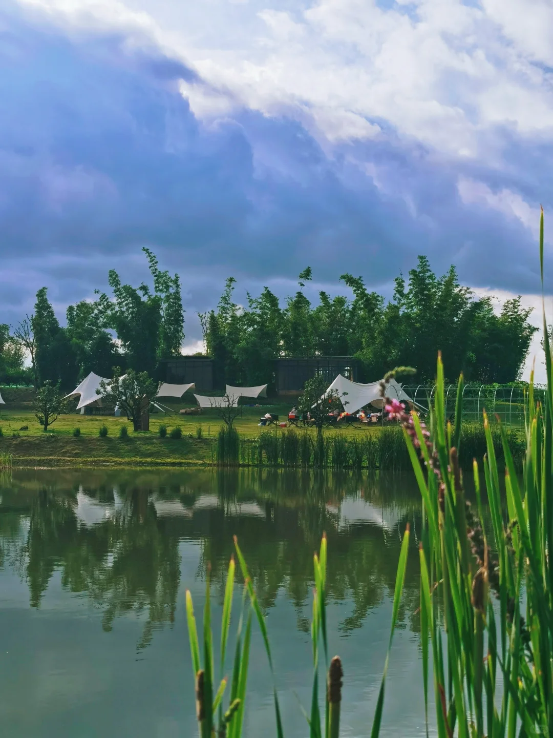 ��ݮ��������ժ��ݮ��