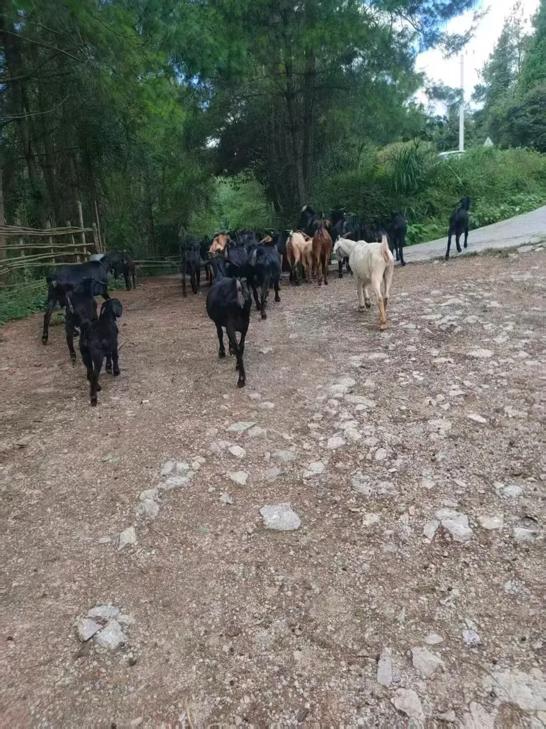 ����һ�´�����Ʒ�ʵĺ�ɽ��45һ�����