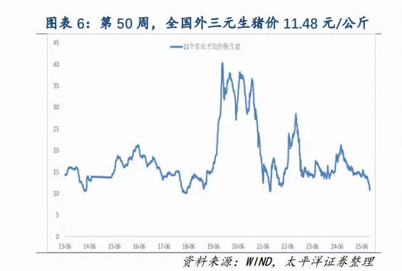 ����һ��Ͷ���Ļ���