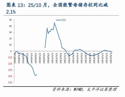 ����һ��Ͷ���Ļ���