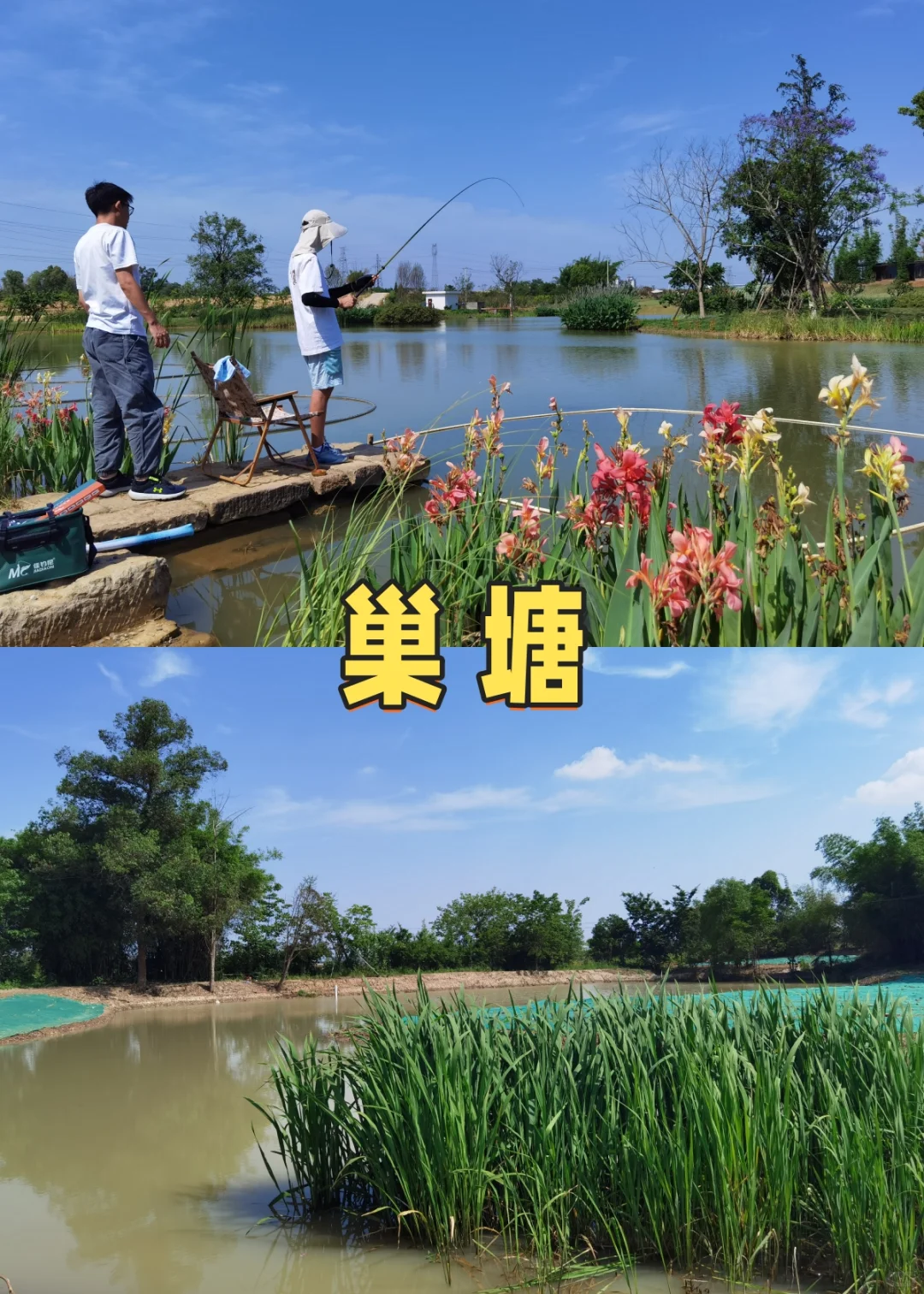 ��ݮ��������ժ��ݮ��