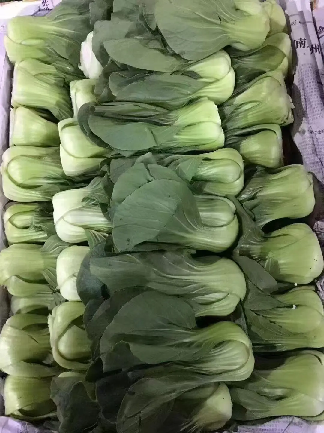 2025��12��10�������ũ�߲������۸�