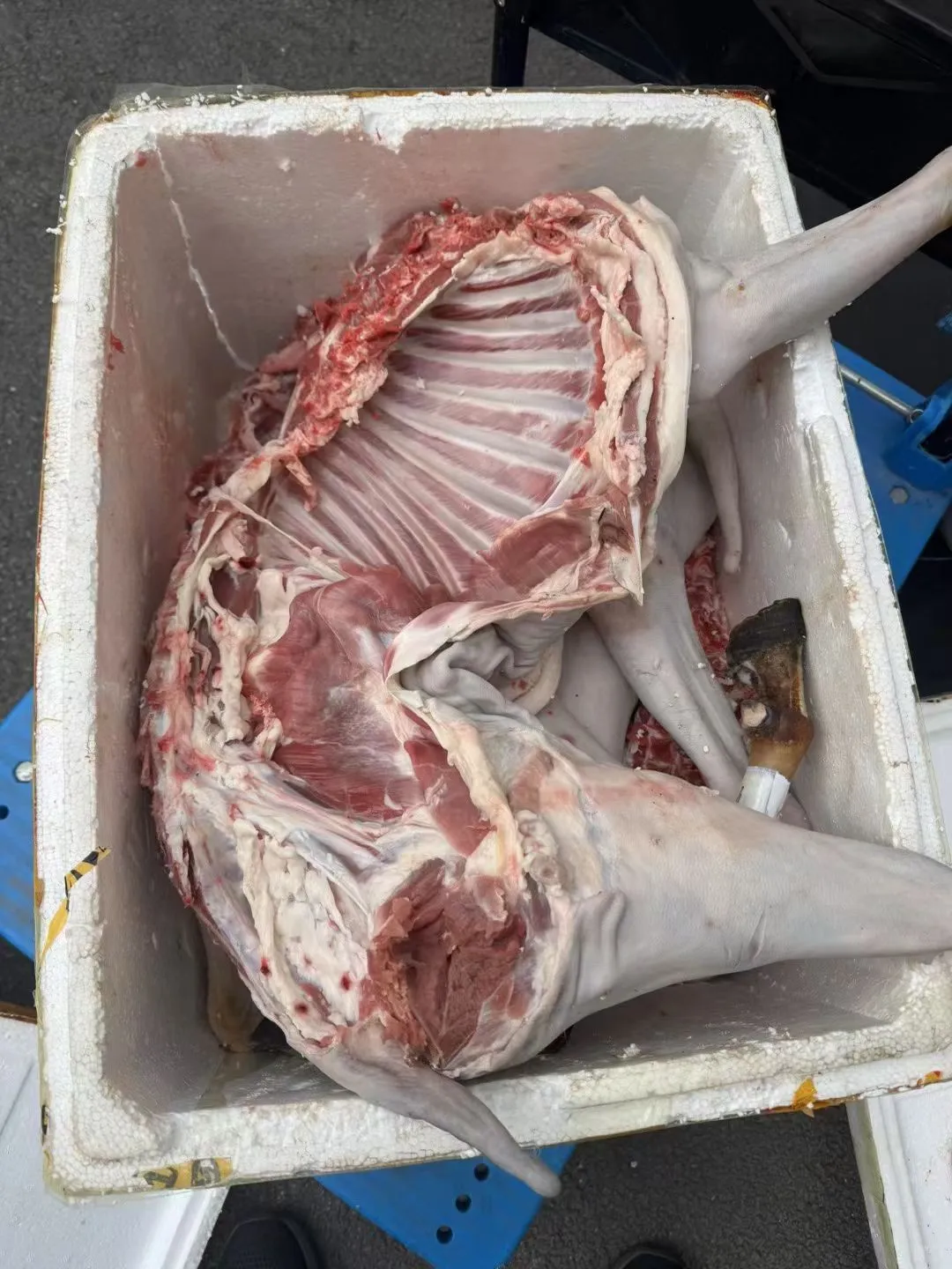 ����һ�´�����Ʒ�ʵĺ�ɽ��45һ�����