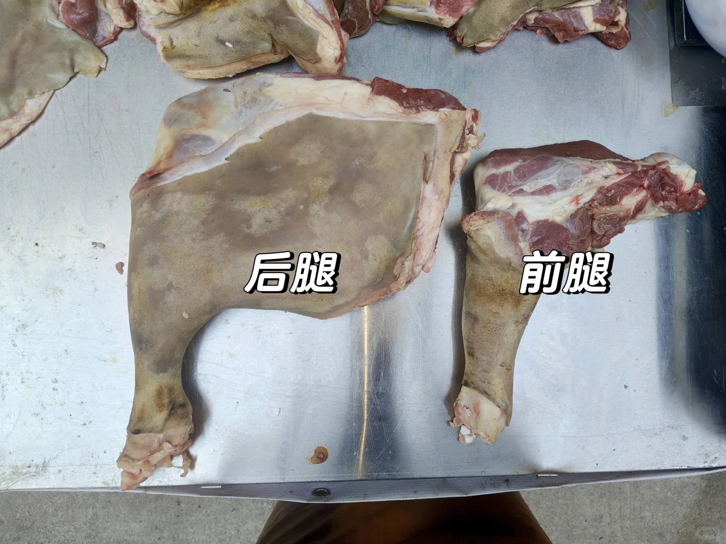 南雄散养黑山羊明码标价