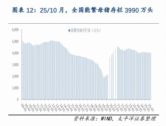 ����һ��Ͷ���Ļ���