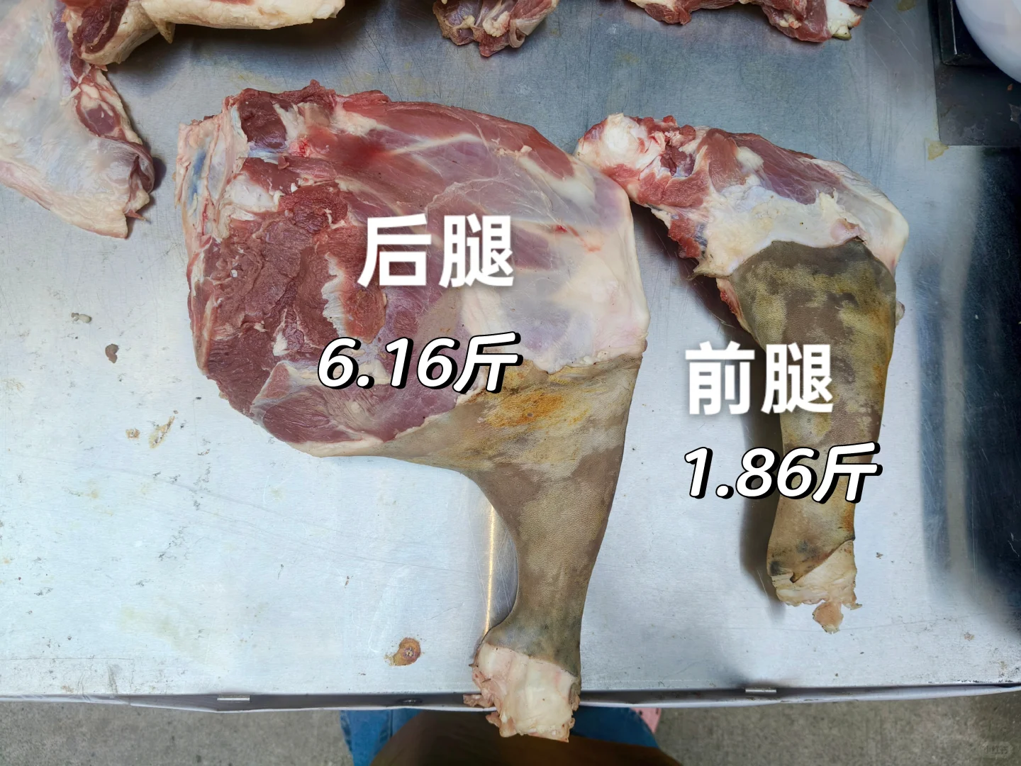 南雄散养黑山羊明码标价