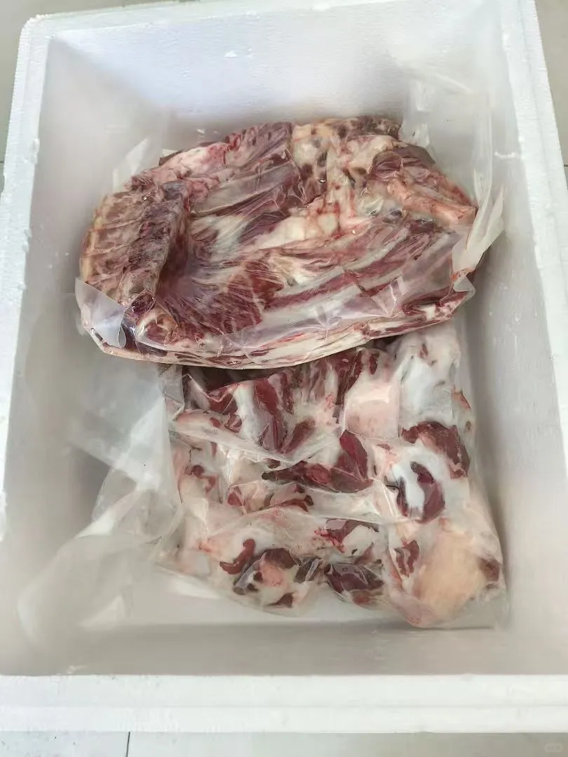 ��û����������γص�����ѽ