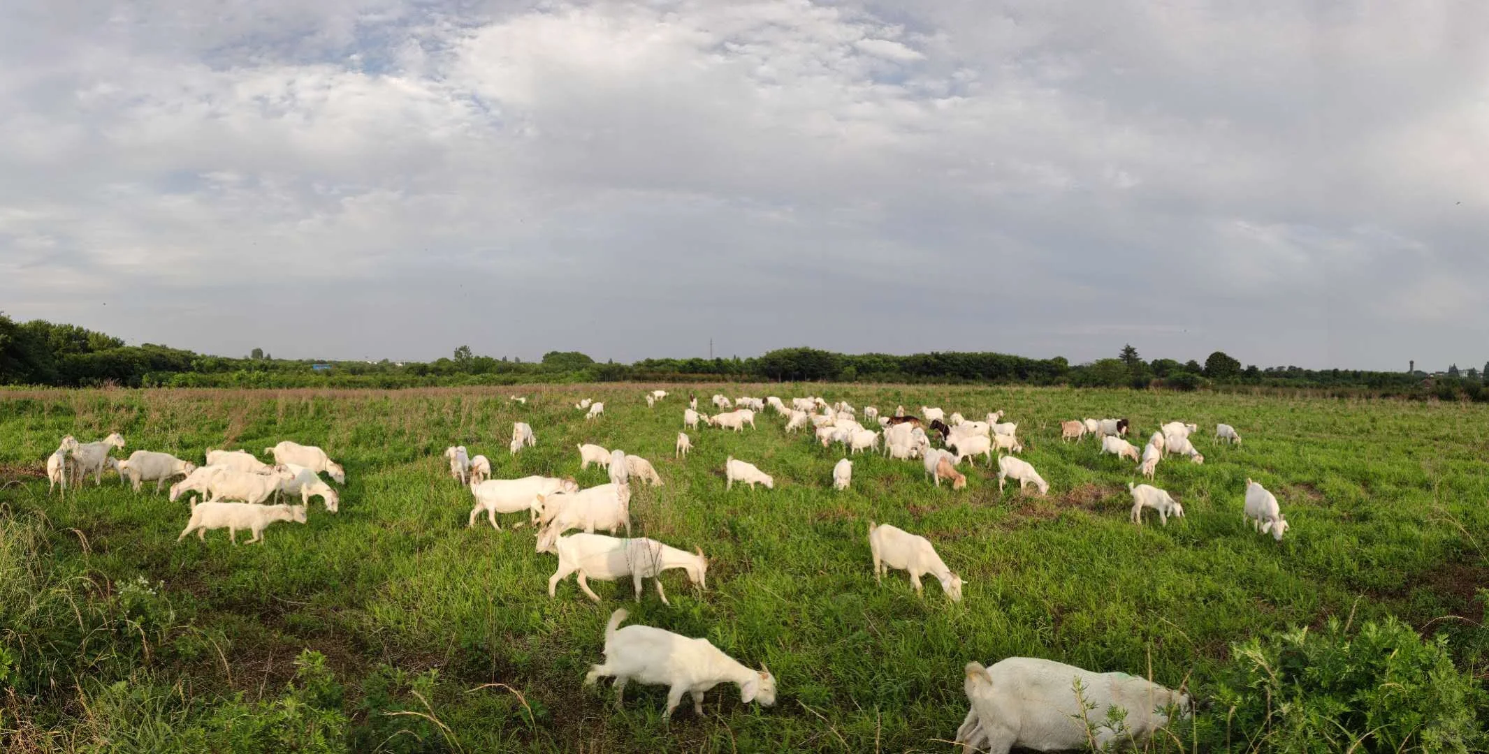 随缘卖卖卖?啦!!!!!