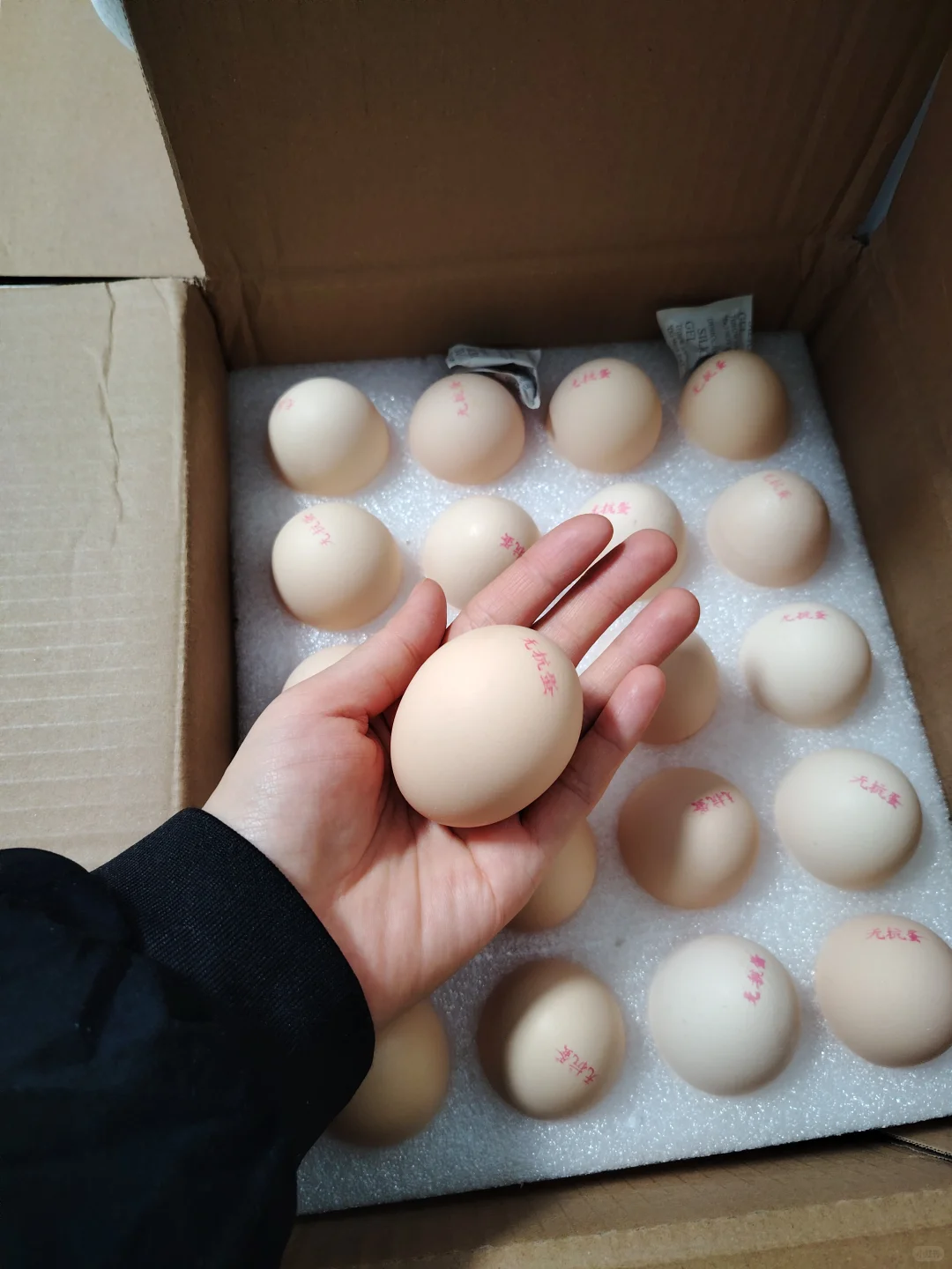 11.26��๺��