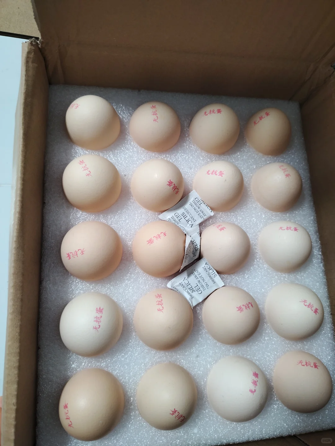 11.26��๺��