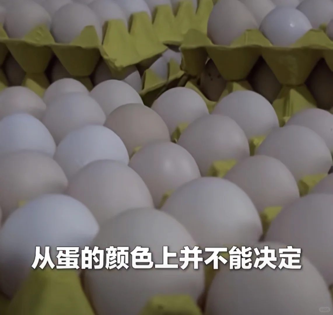 �����ļ�λ��ͬӪ���ɷֲ����