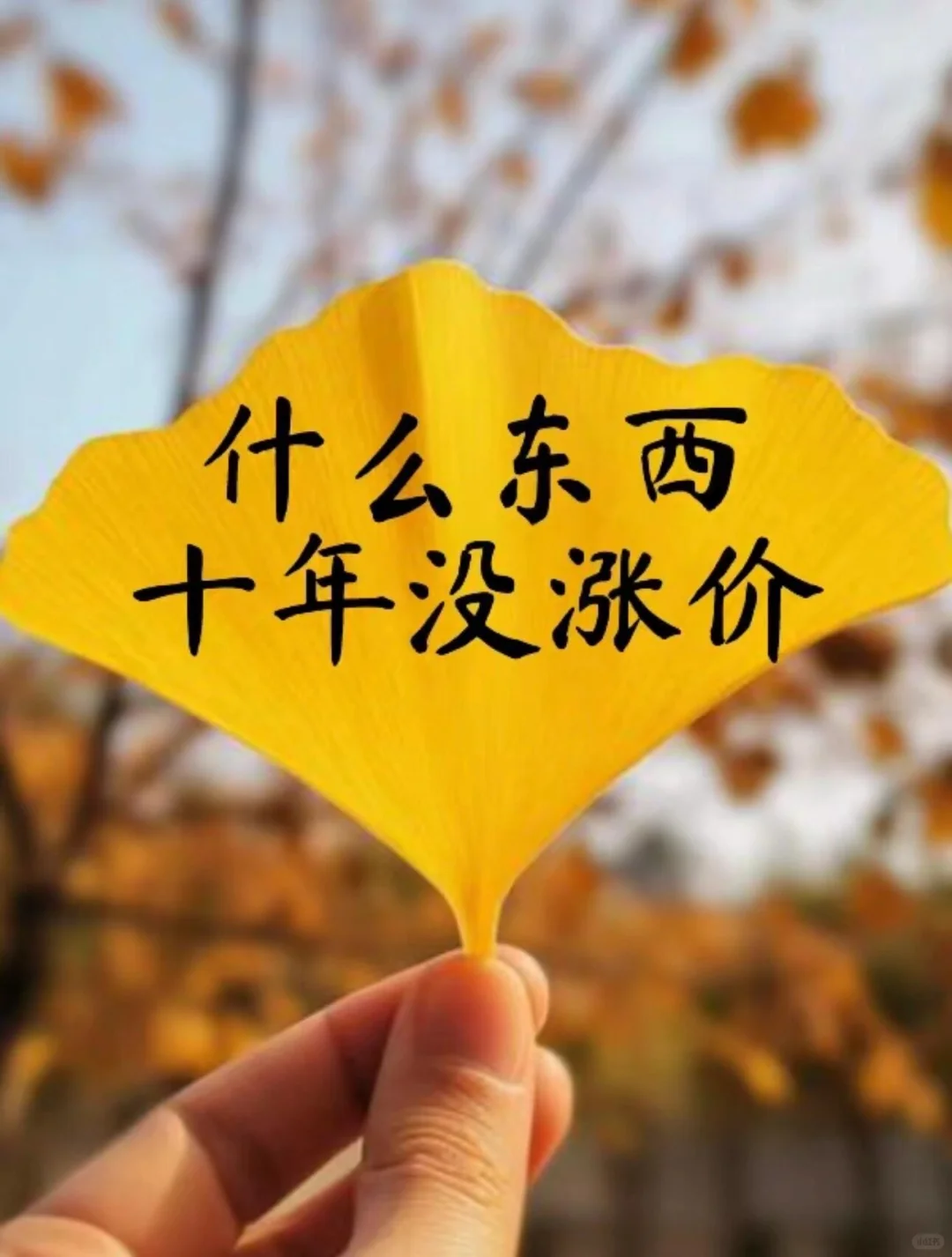 ʲô����ʮ��û���Ǽۣ�