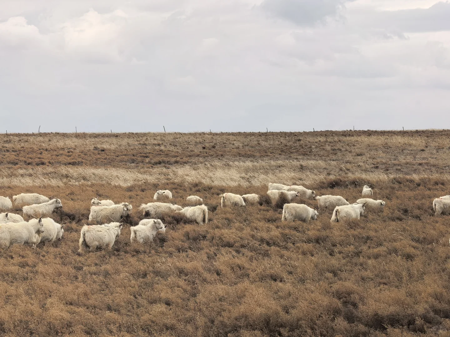 �ԼҲ�ԭ�������ô�������������