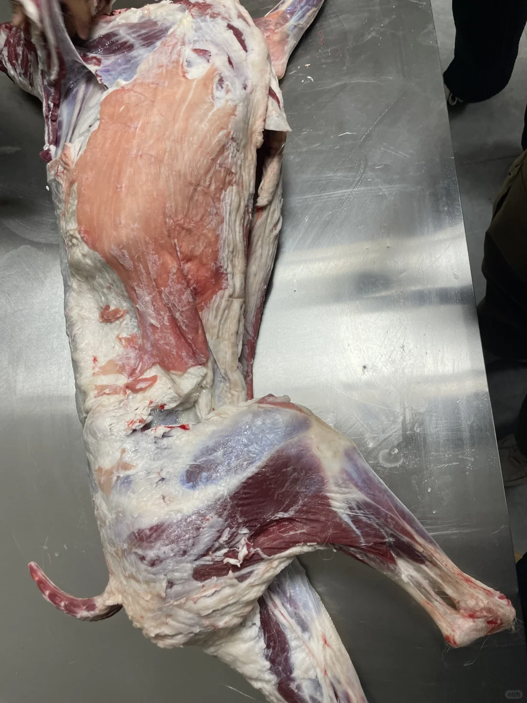 ����?������������������ȥ�ˣ������