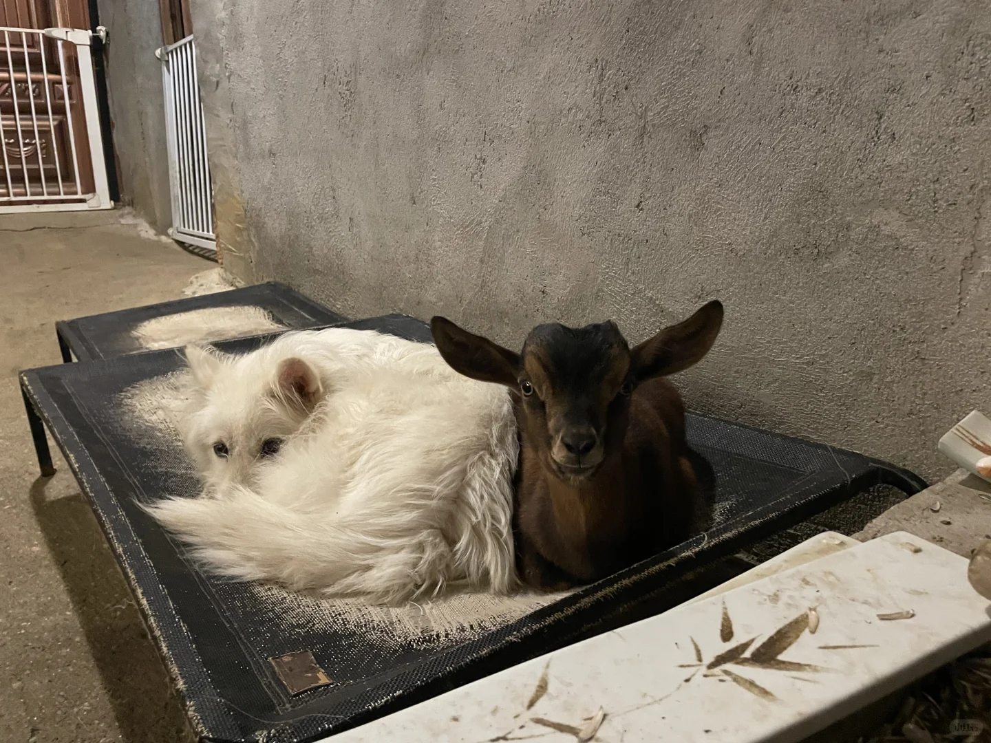 �Һ��ҵ�С����»��ڼ���