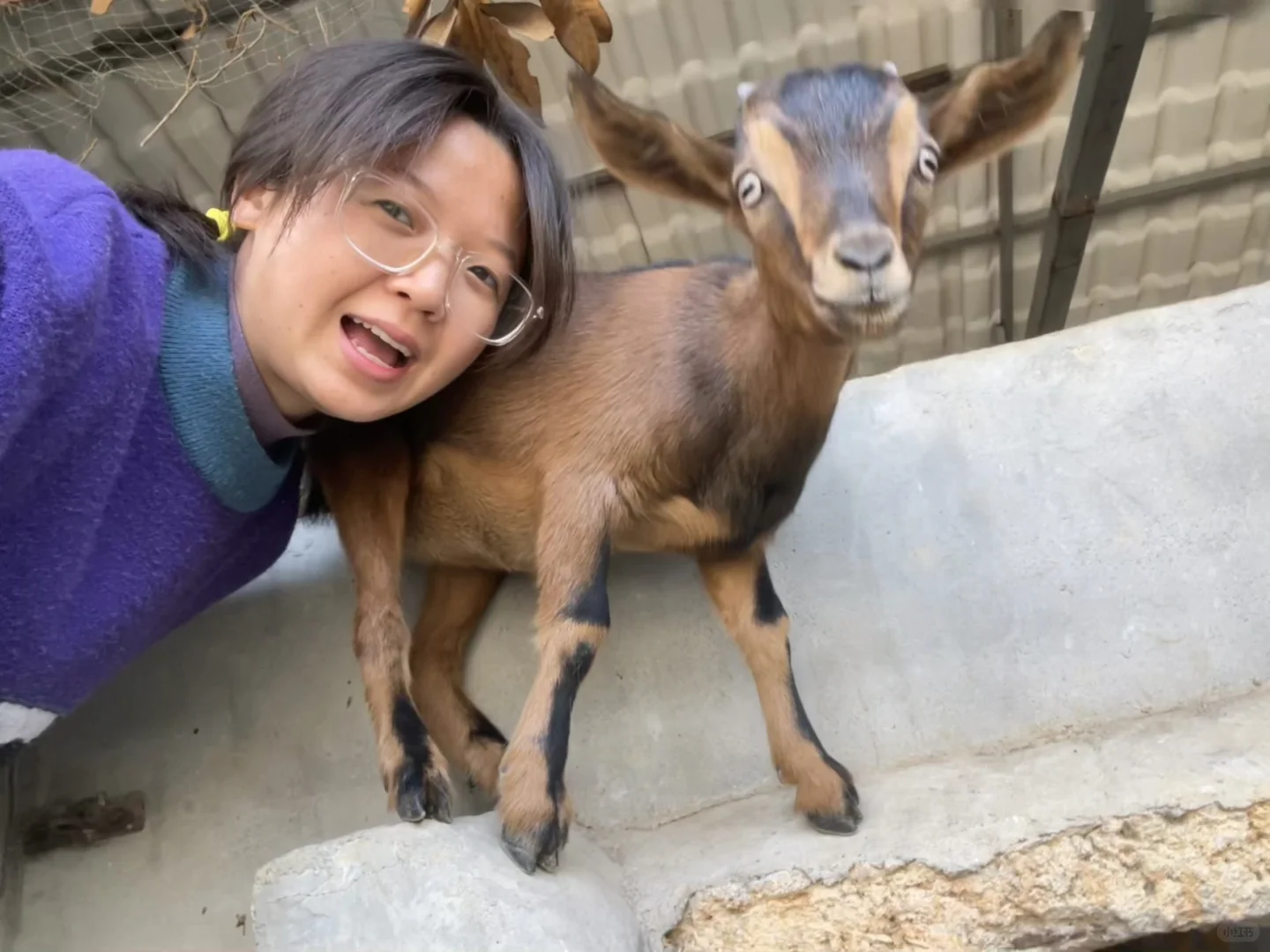 �Һ��ҵ�С����»��ڼ���