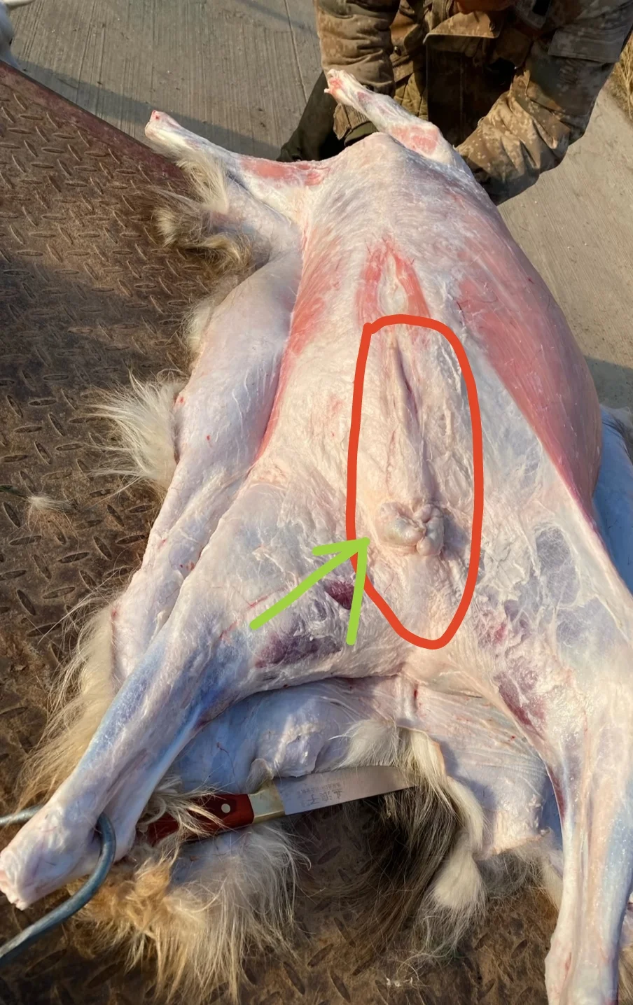 ˭Ҫ�ķ�֮һɽ����12�����ң�������