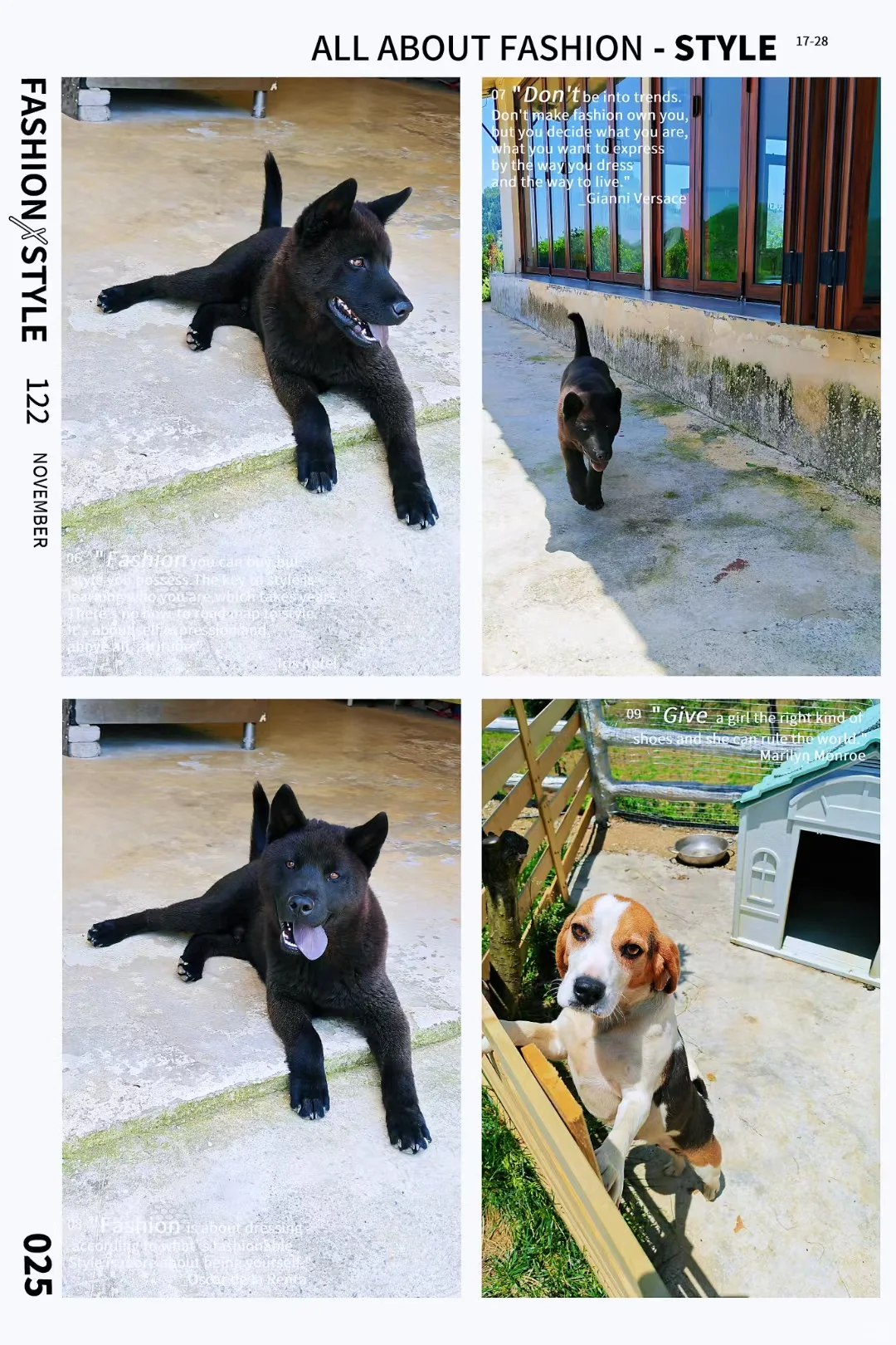 ��������Ҿ͸���