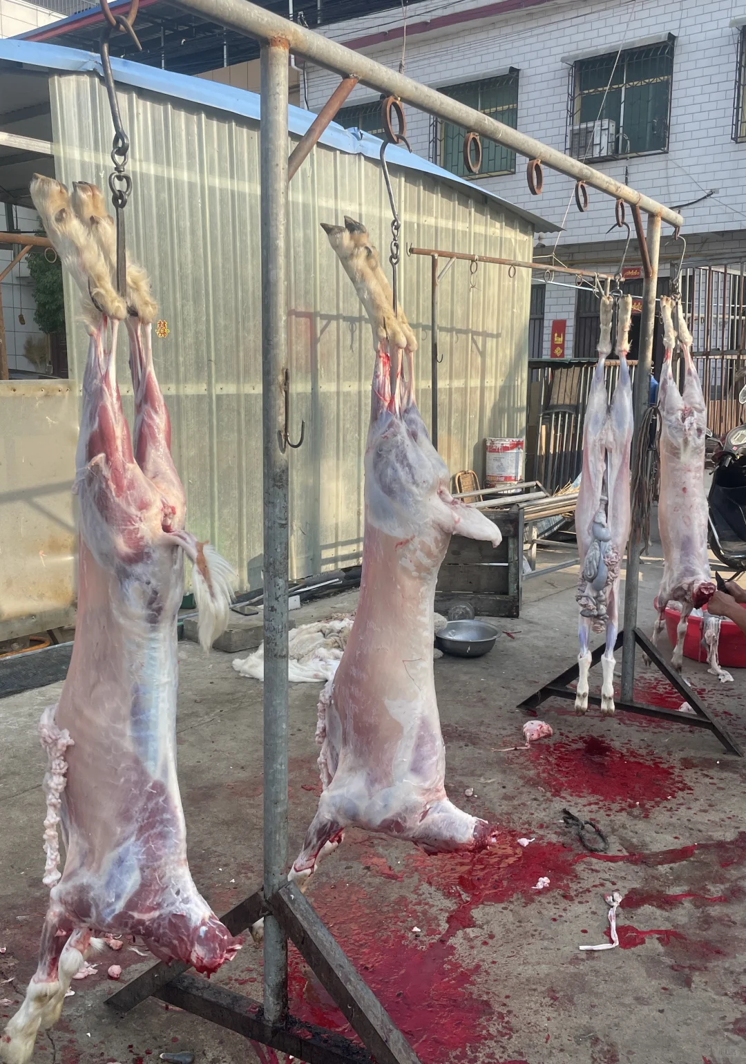 �����µ��ı����ǣ�׼�����տ���ˣ�