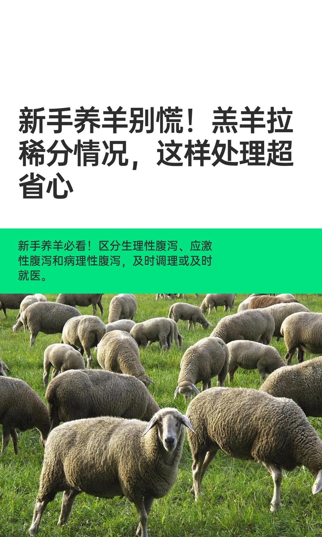 ���������ţ�������ϡ�����