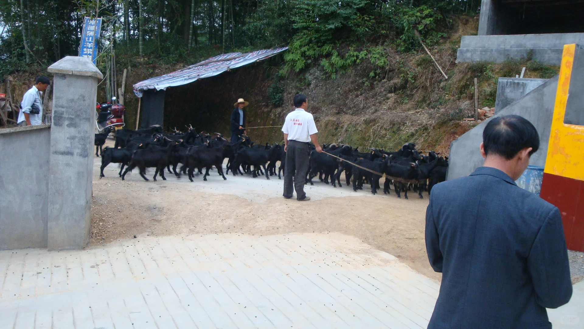 ũ��������������60��70�󣡿���ȫ������