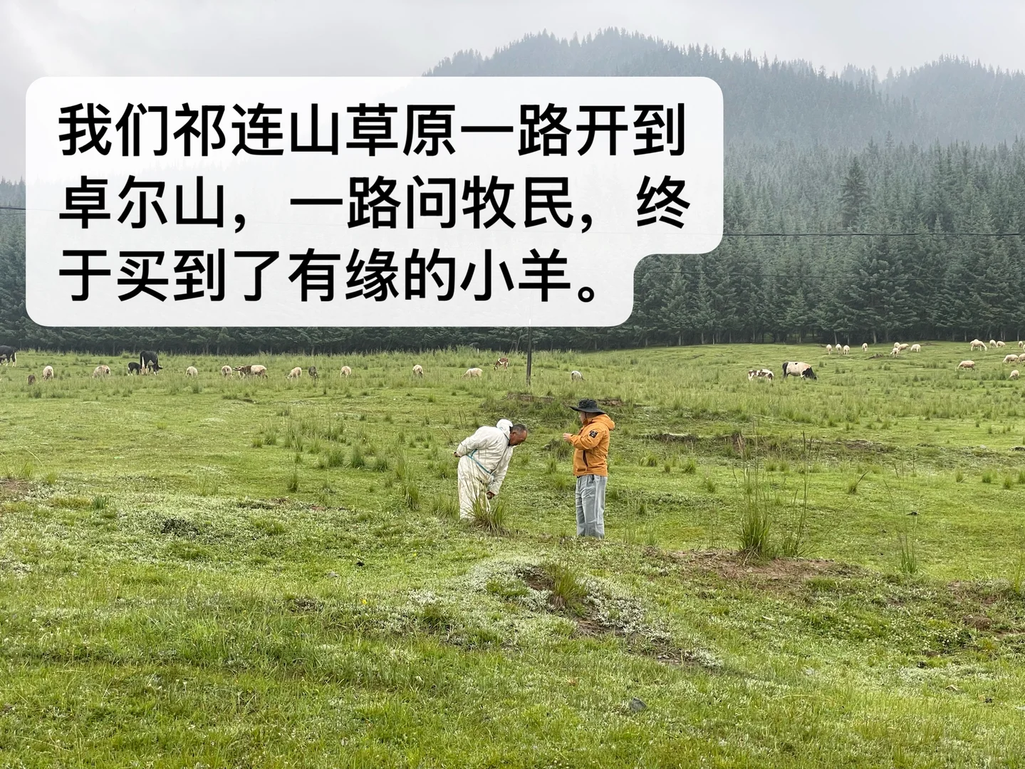 ��С�򲻹�񫣬�Ǿ���һֻ���������