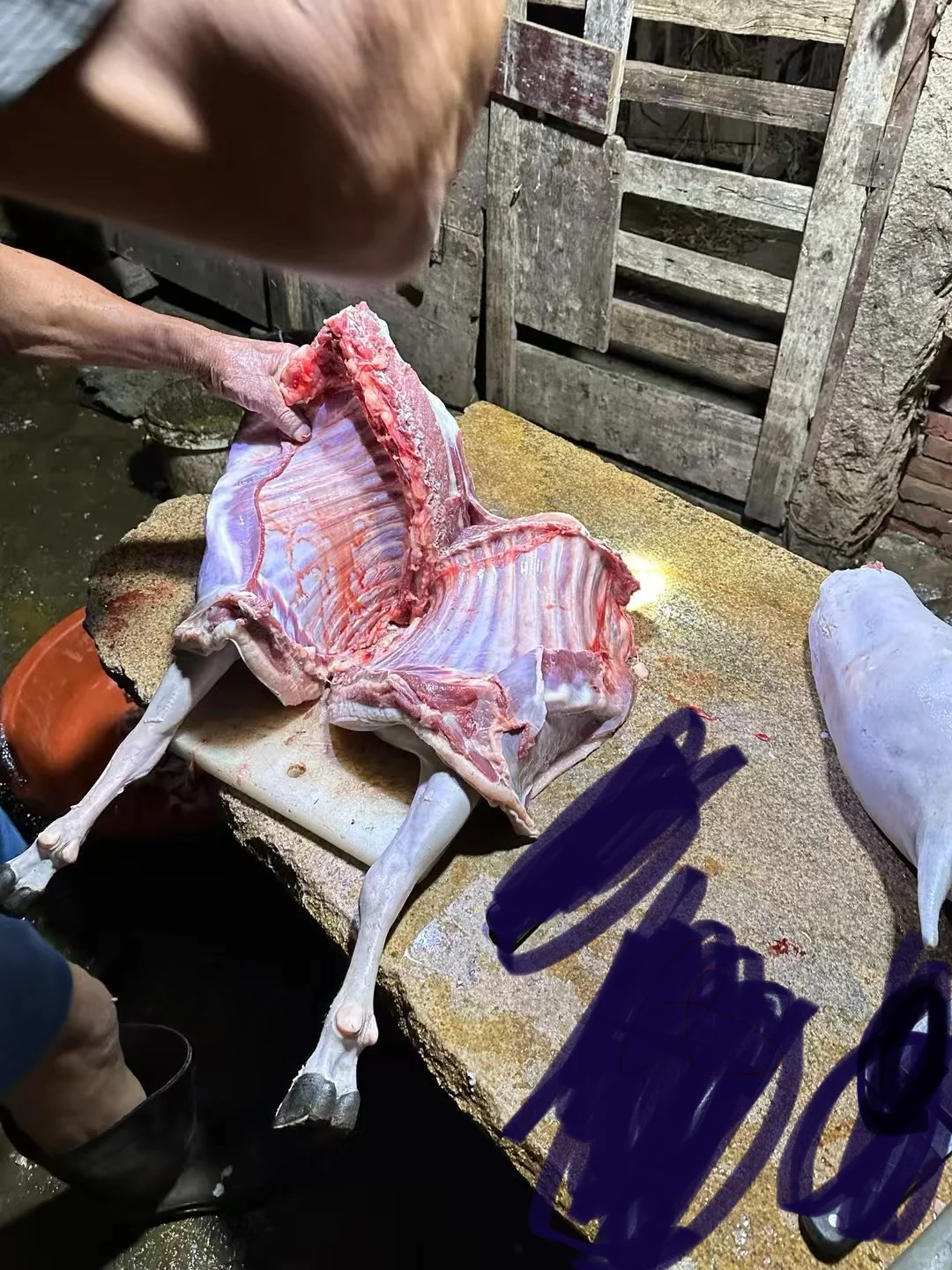 �Ұ��ִ��ҳ���������