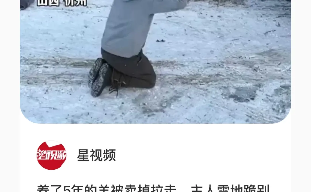 ��Ƭѩ��������ǵĹ���