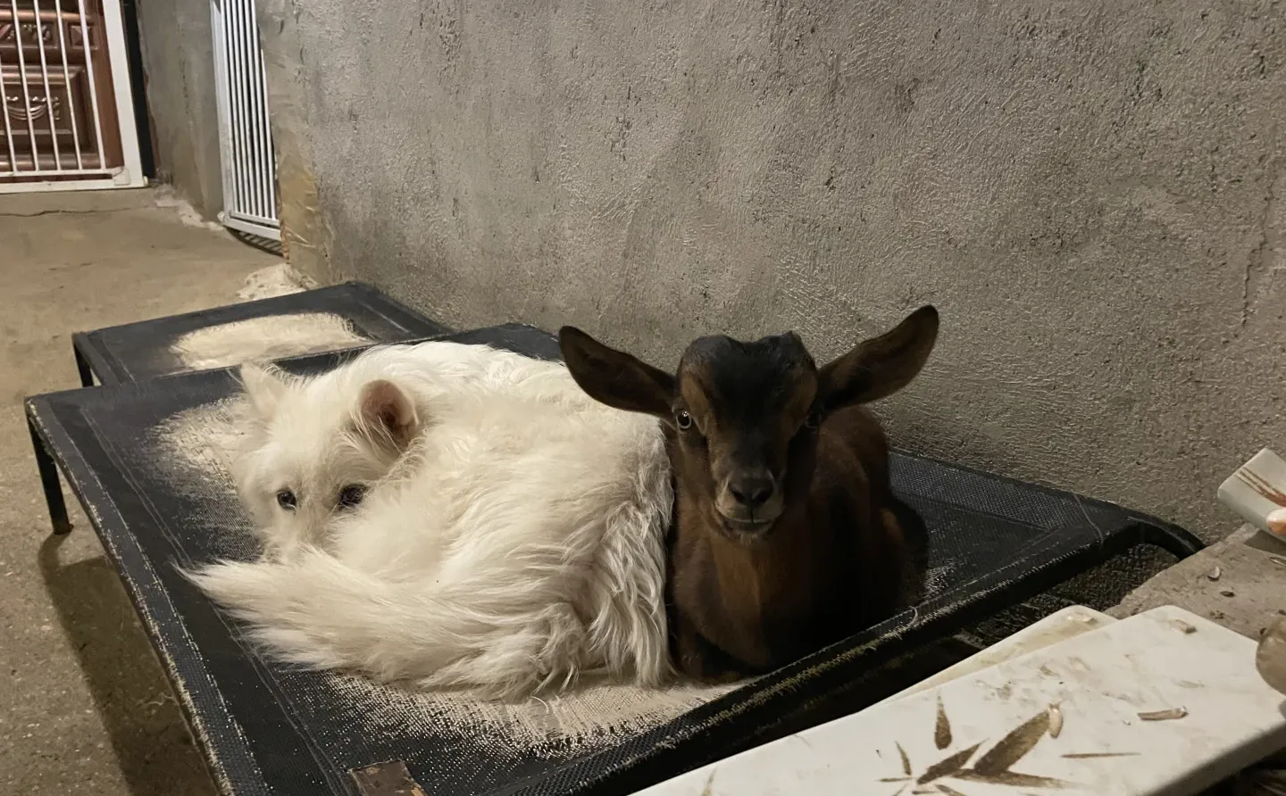 �Һ��ҵ�С����»��ڼ���