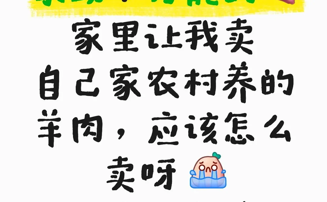 �������������Ұ�æ�����⣬��ô��ѽ