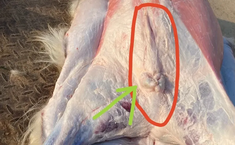 ˭Ҫ�ķ�֮һɽ����12�����ң�������