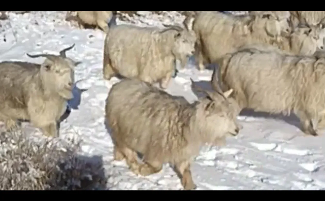 ����������