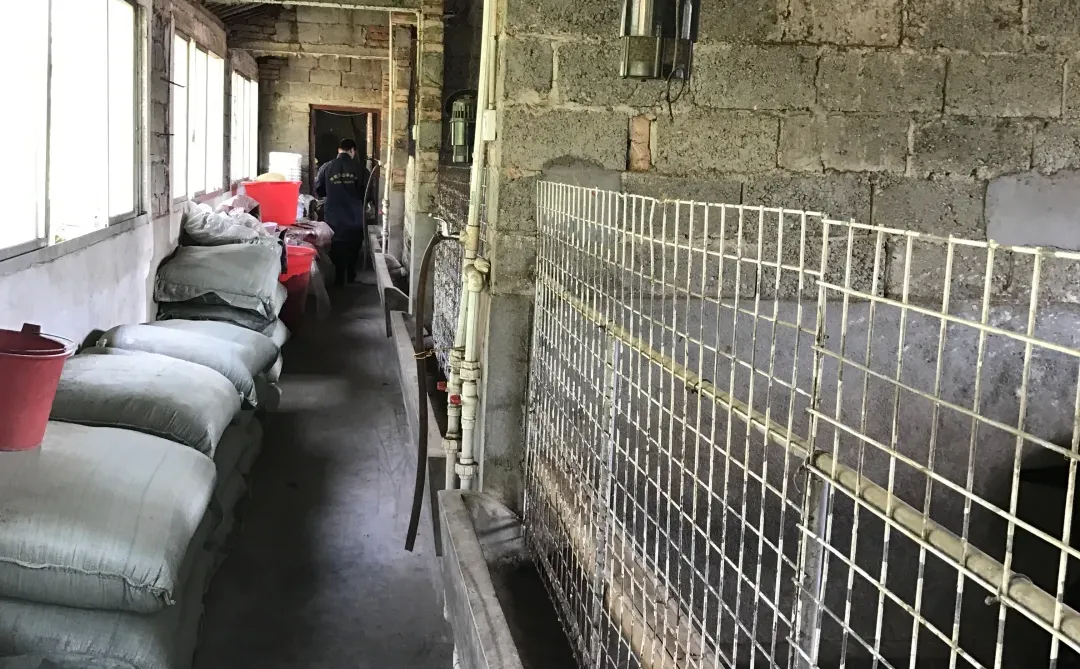 ũ��������������60��70�󣡿���ȫ������