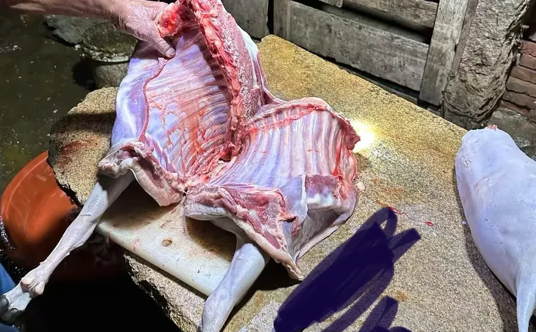 �Ұ��ִ��ҳ���������