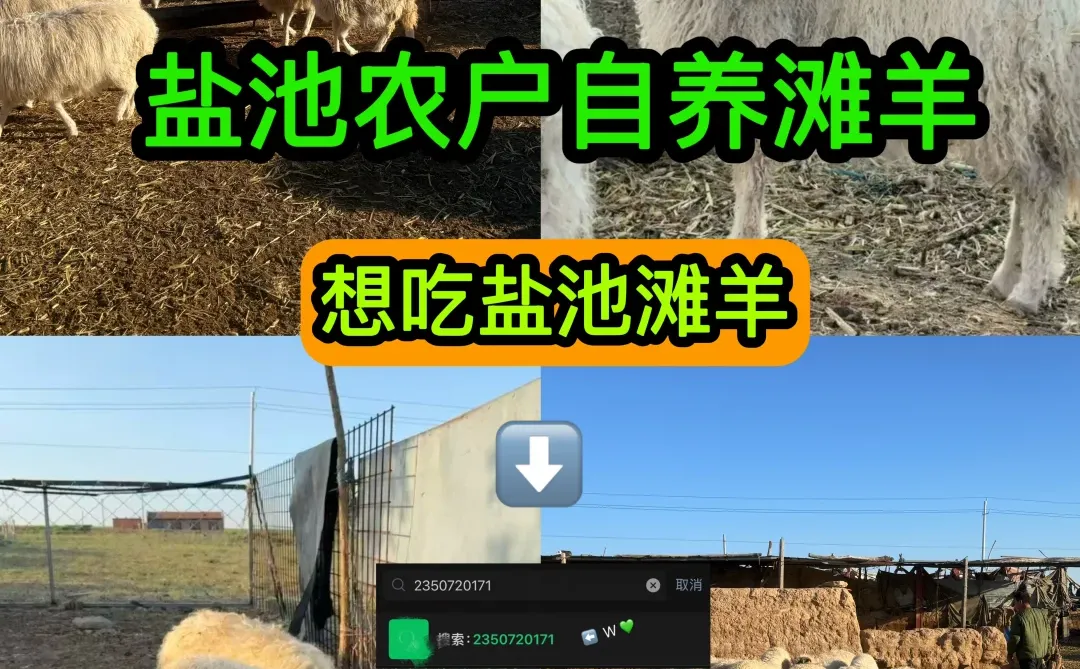 ���γر����ˣ���������˲���˵����ʵ