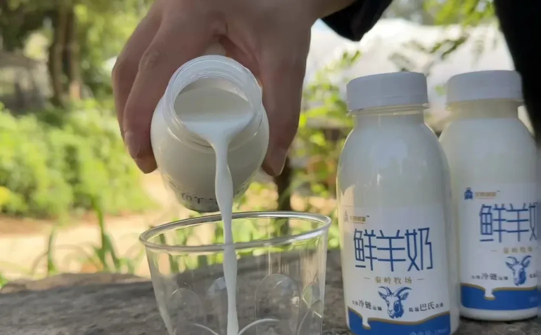 ����Ϊɶ��ô���˳��ں����̣�