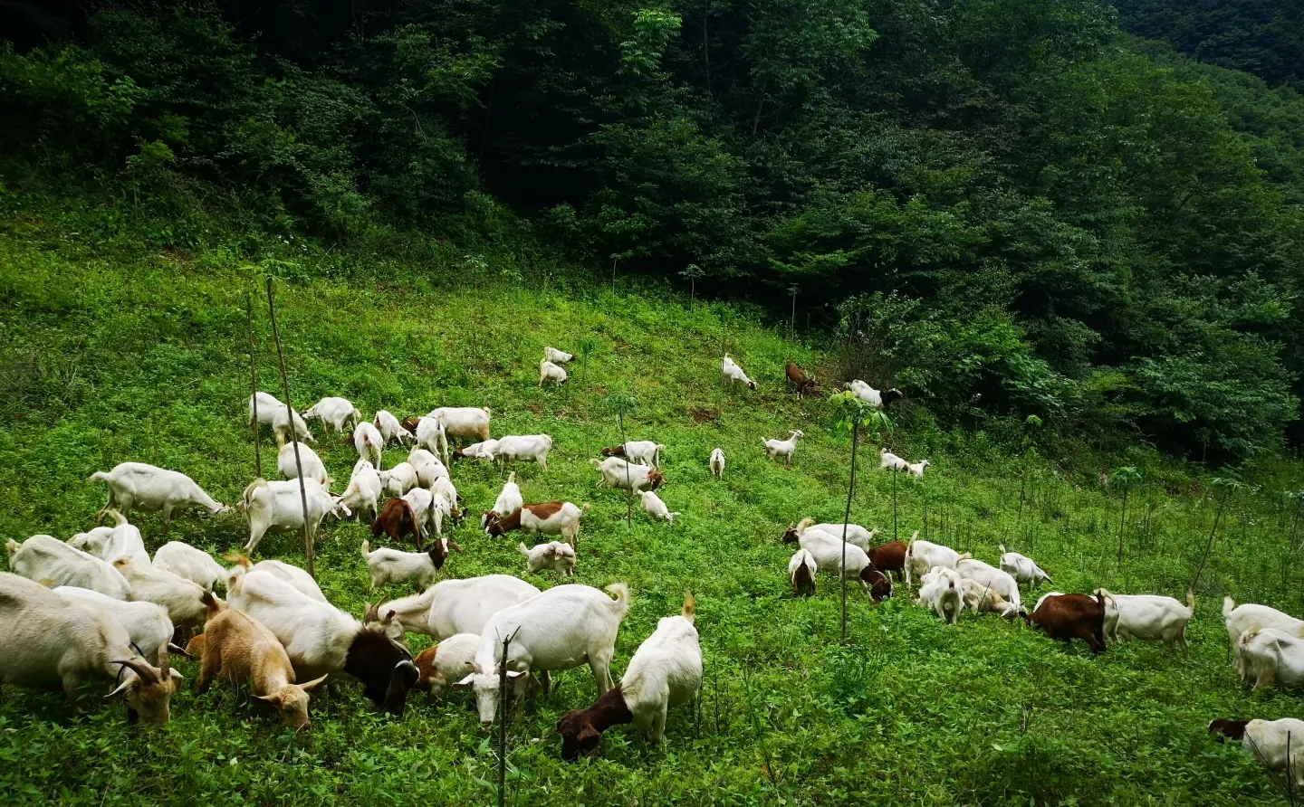 ��û����Ҫ������ɽ��ģ�ȫ�����