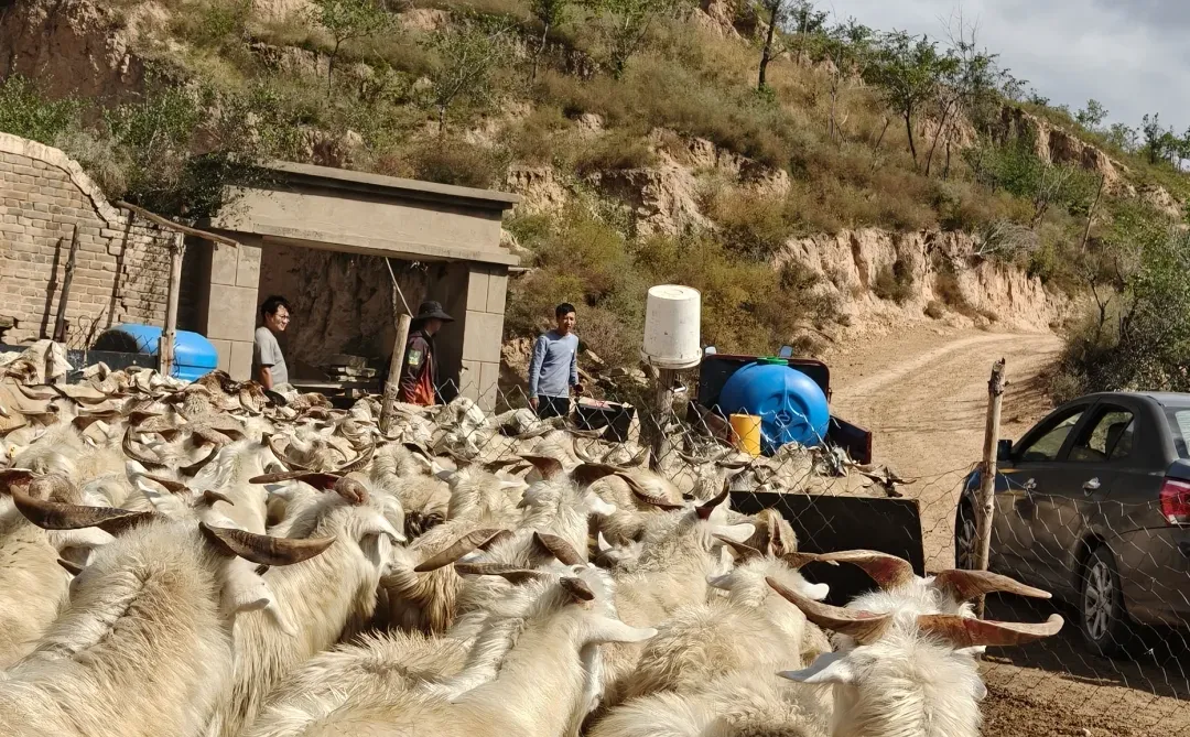 ����һ�����ֵ���ɽ��~