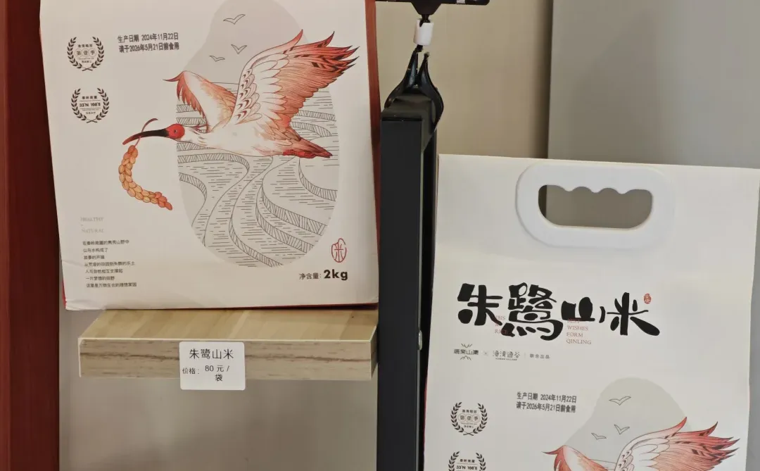 �� ����������������24Сʱ