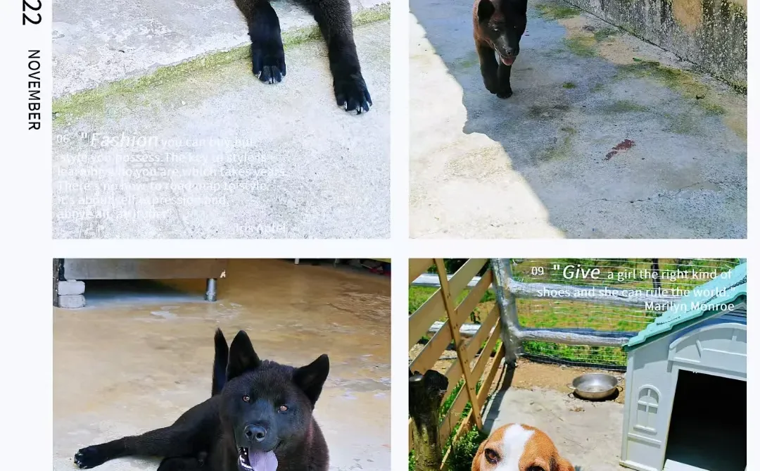 ��������Ҿ͸���