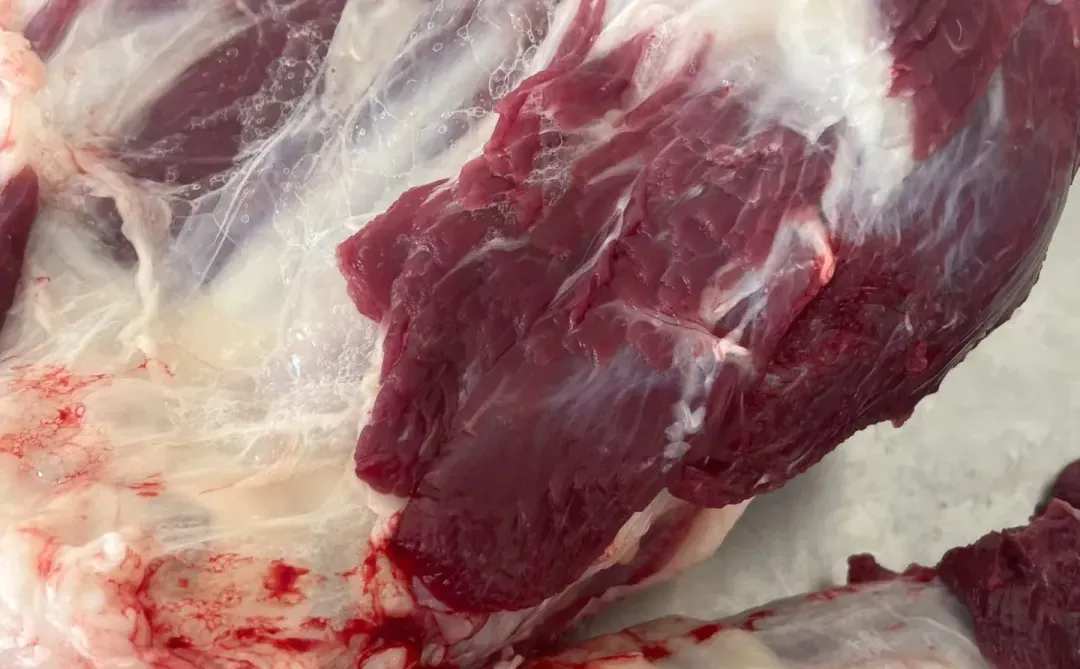 阿尔巴斯山羊!凭什么是天花板的存在!!