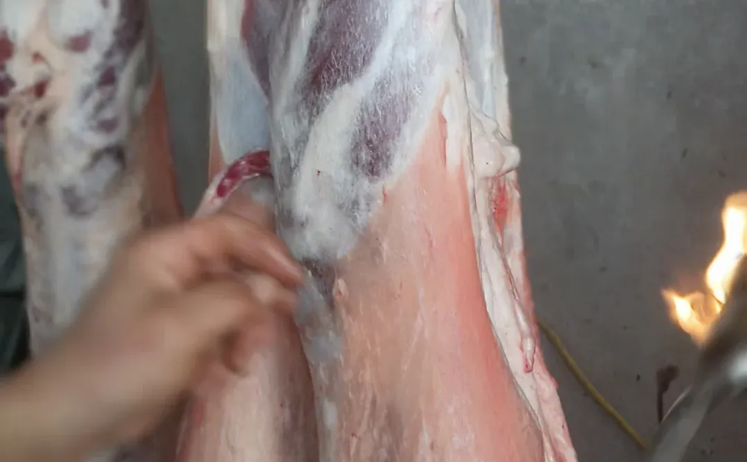 �ϰ����������⣬����˭ѽ