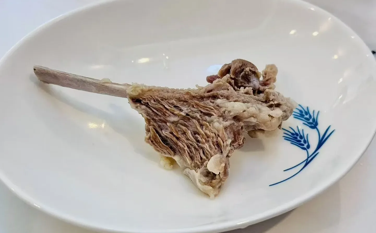 ����?������������������ȥ�ˣ������