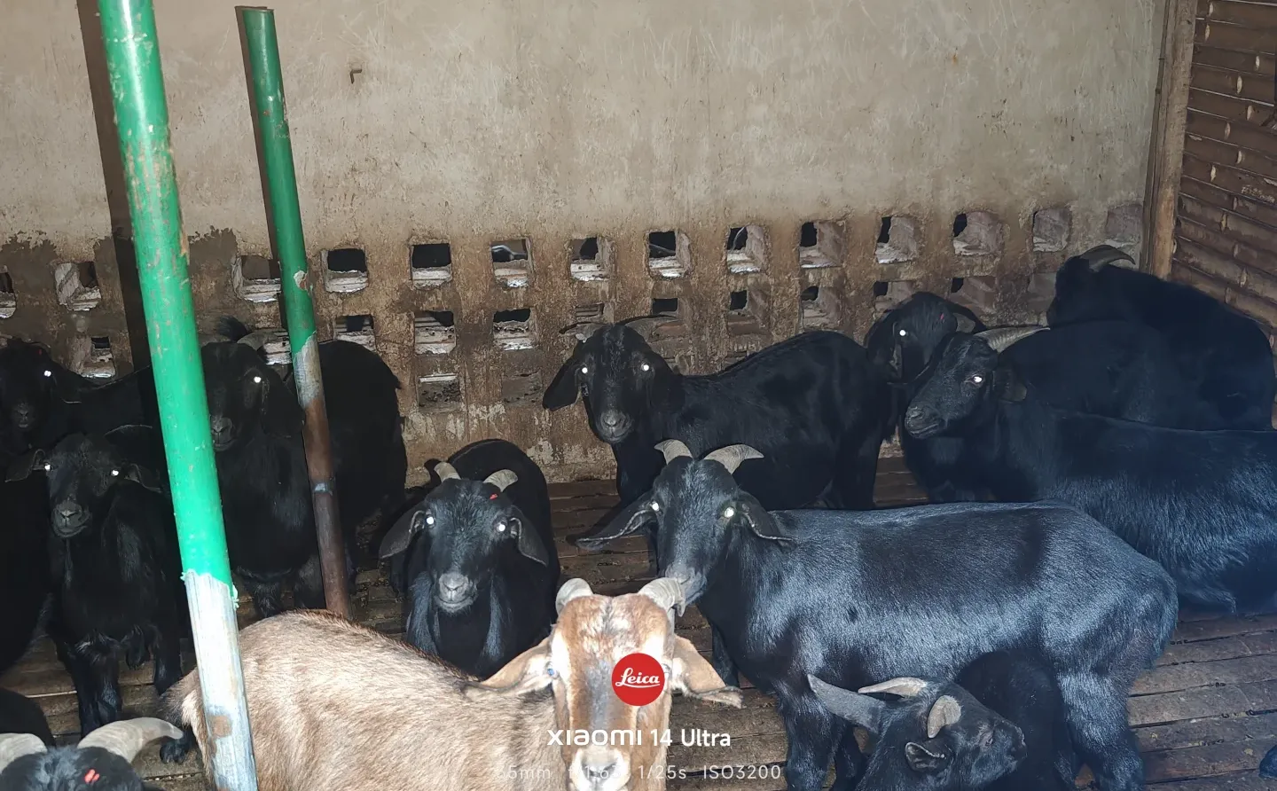 ��ɽ���⿪��