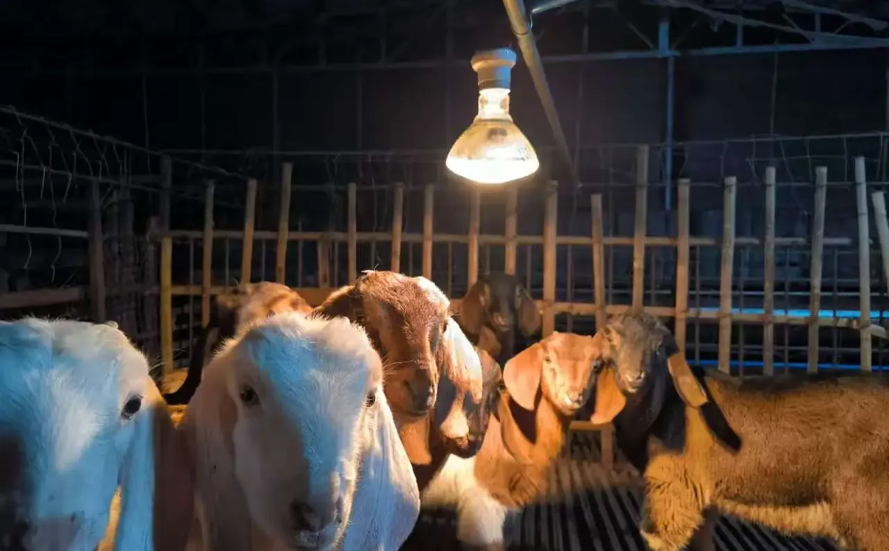 �ɶ��ܱ߰��ϰ�������