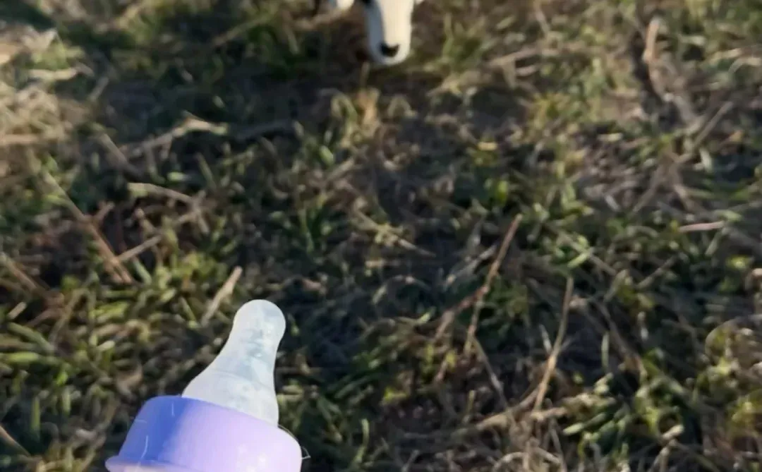 �߿���;��һ��Ҫͣ�³�ȥ��С�򰡣�?